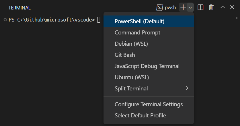 감지된 프로필은 새 터미널 버튼 옆의 드롭다운에서 선택할 수 있습니다. Windows의 예로는 PowerShell, Command Prompt, Git Bash 및 WSL이 있습니다.