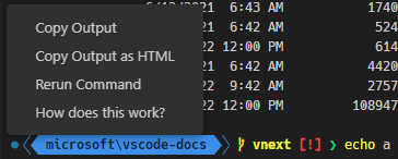 성공한 명령 데코레이션을 클릭하면 컨텍스트 메뉴가 나타나며 항목: 출력 복사, HTML로 출력 복사, 명령 다시 실행 및 이 작동 방식은?